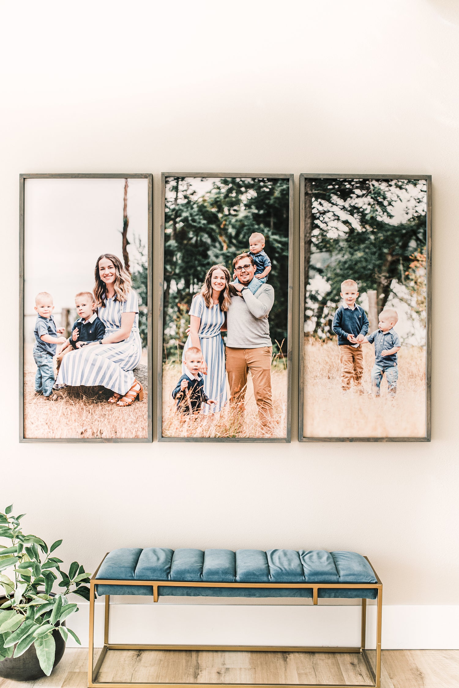 Framed Photo Signs